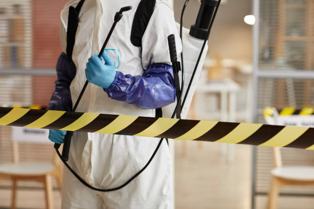 Professional Sewage Cleanup technician working in Collinston, UT